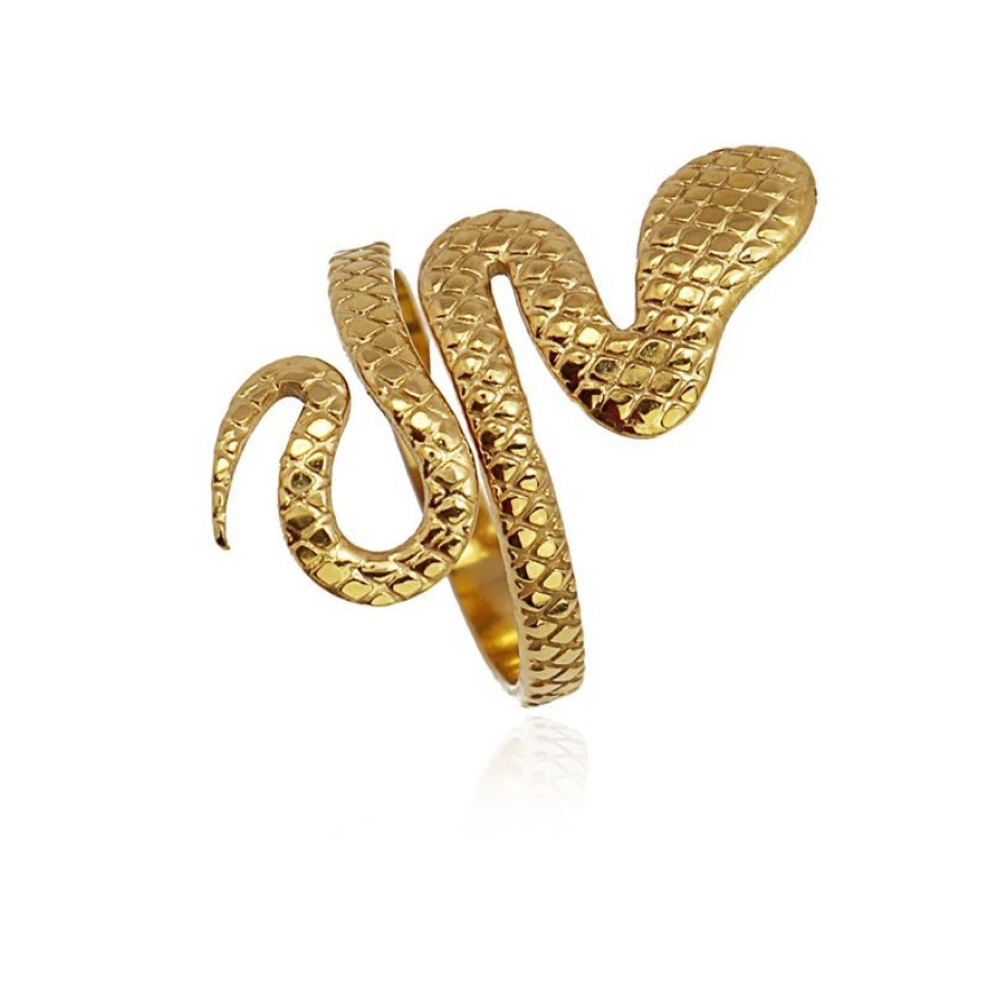 Accesorios ANARTXY | Anillo Serpiente Aan709 - Anartxy